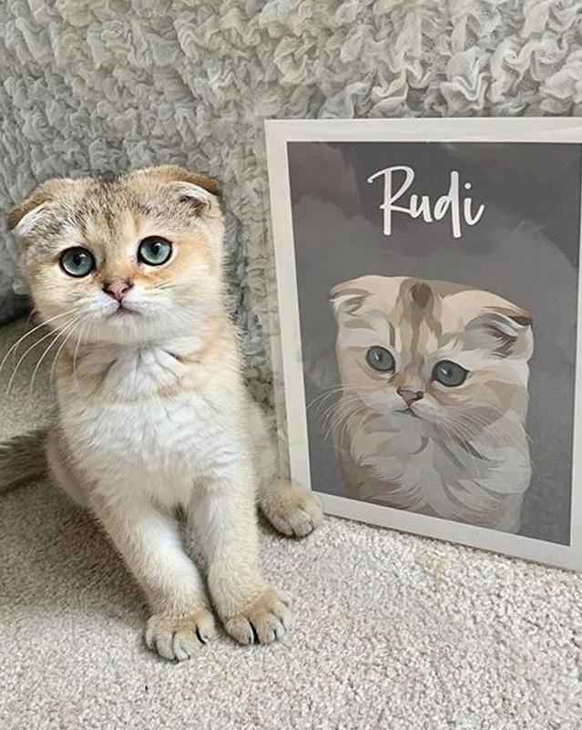 Modern - Custom Pet Portrait